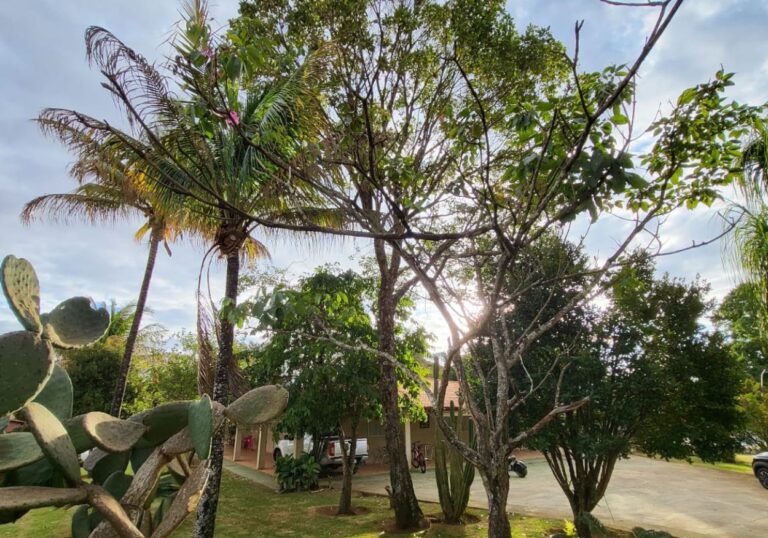 Design sem nome - 2023-07-24T211956.576