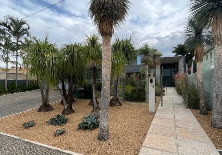 Design sem nome - 2023-08-01T143126.566