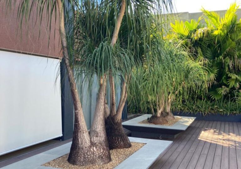 Design sem nome - 2023-08-01T144220.910