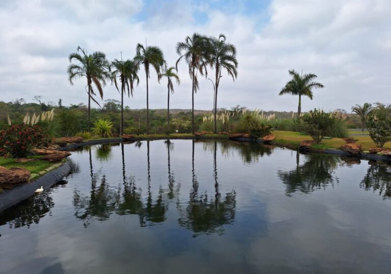 Design sem nome - 2023-09-04T154956.470